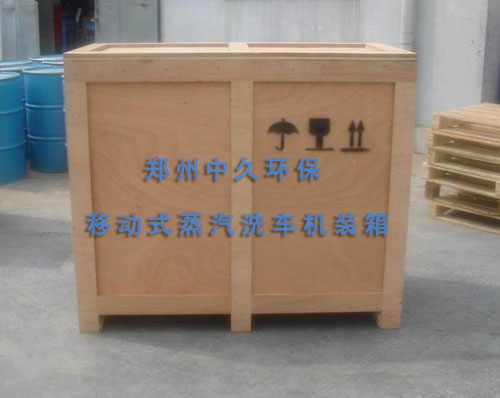 移动式蒸汽洗车机发货