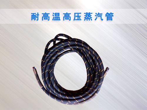 蒸汽洗车机专用蒸汽管