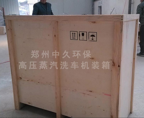 高压蒸汽洗车机包装运输